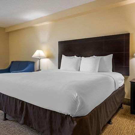 Comfort Inn International Drive Windermere Room photo